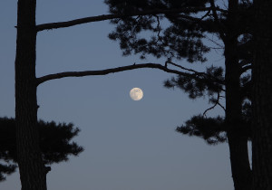 [기고] Tạm biệt — 뚜안님 100일재에 동행하여 남기는 기록