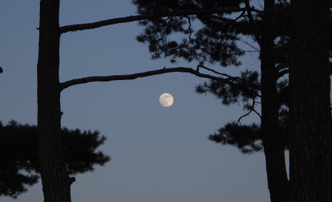 [기고] Tạm biệt — 뚜안님 100일재에 동행하여 남기는 기록
